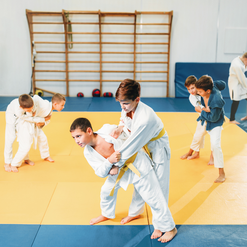 Proefles Judo Voor Kinderen Bij My Healthclub Krimpen